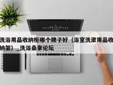 呼和浩特洗浴用品收纳柜哪个牌子好（浴室洗漱用品收纳架）_洗浴桑拿论坛