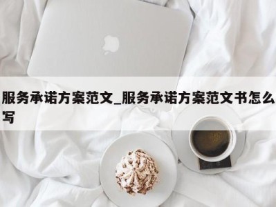 呼和浩特服务承诺方案范文_服务承诺方案范文书怎么写 